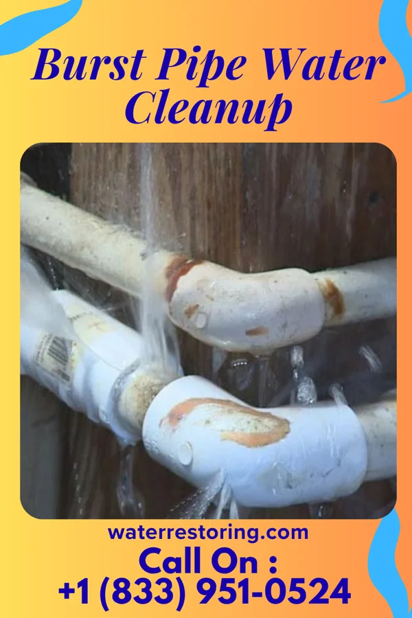 Burst Pipe Water Cleanup in Nassau Lake, NY
