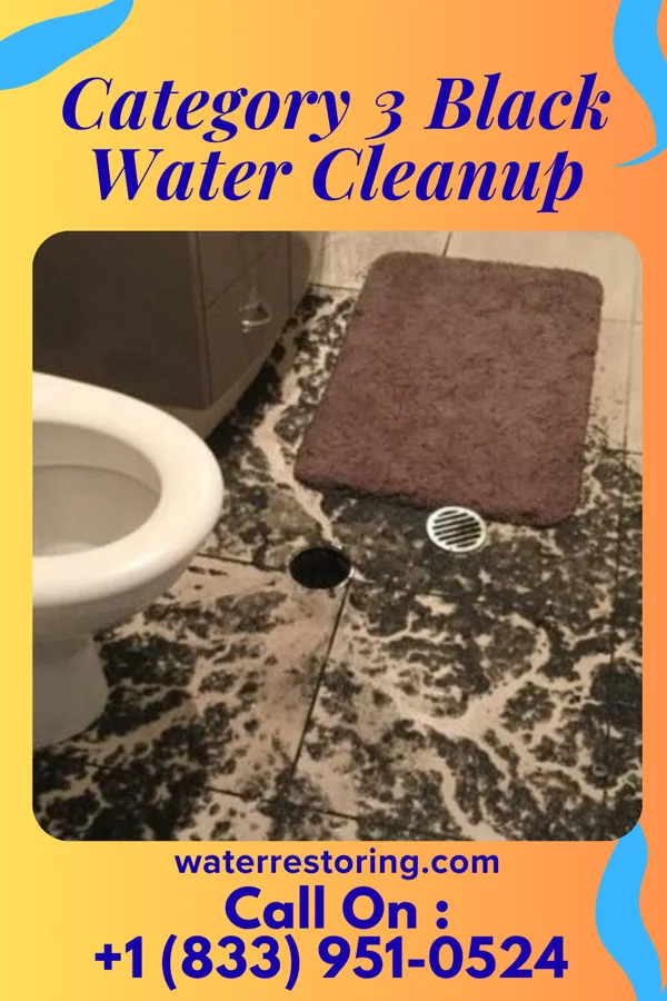 Category 3 Black Water Cleanup in Nassau Lake, NY