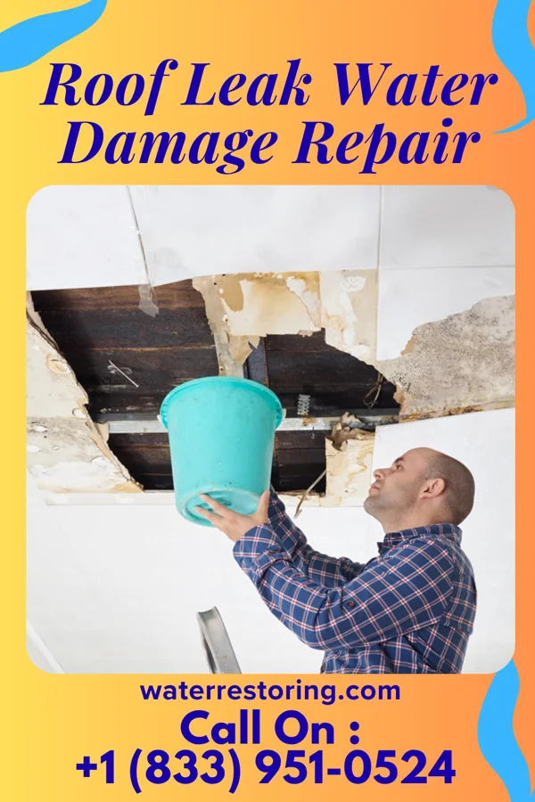 Roof Leak Water Damage Repair in Nassau Lake, NY