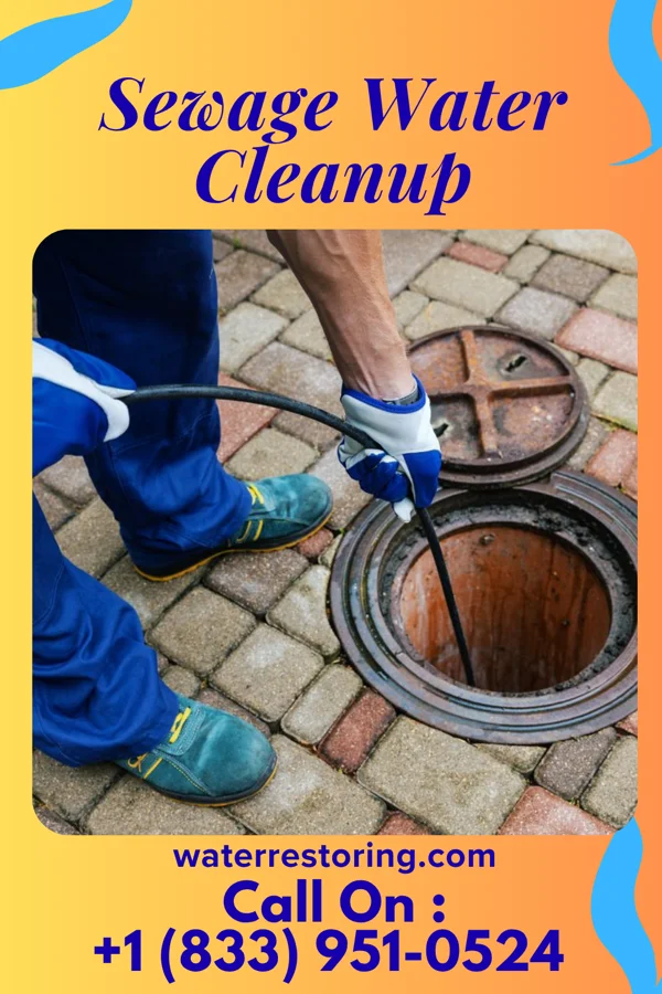 Sewage Water Cleanup in Nassau Lake, NY